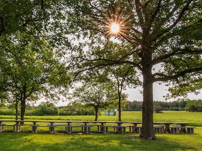 The Arboretum at GovState